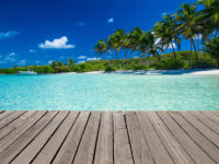 Palms and boardwalk on sunny tropical beach